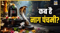 Nag Panchami 2026: 16 या 17 अगस्त, कब है नाग पंचमी? जानें सटीक तारीख, शुभ मुहूर्त और पूजा विधि
