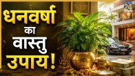 Plant-Vastu-Tips