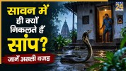 Why Snakes Appear In Sawan