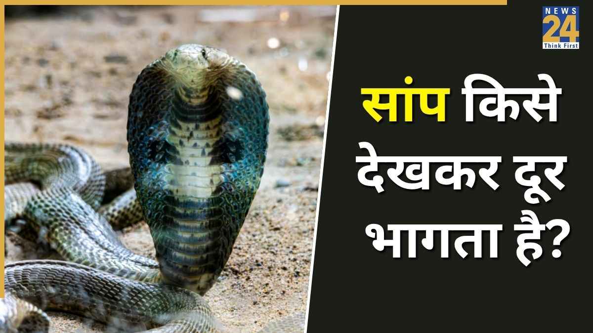 Snakes Big Fears