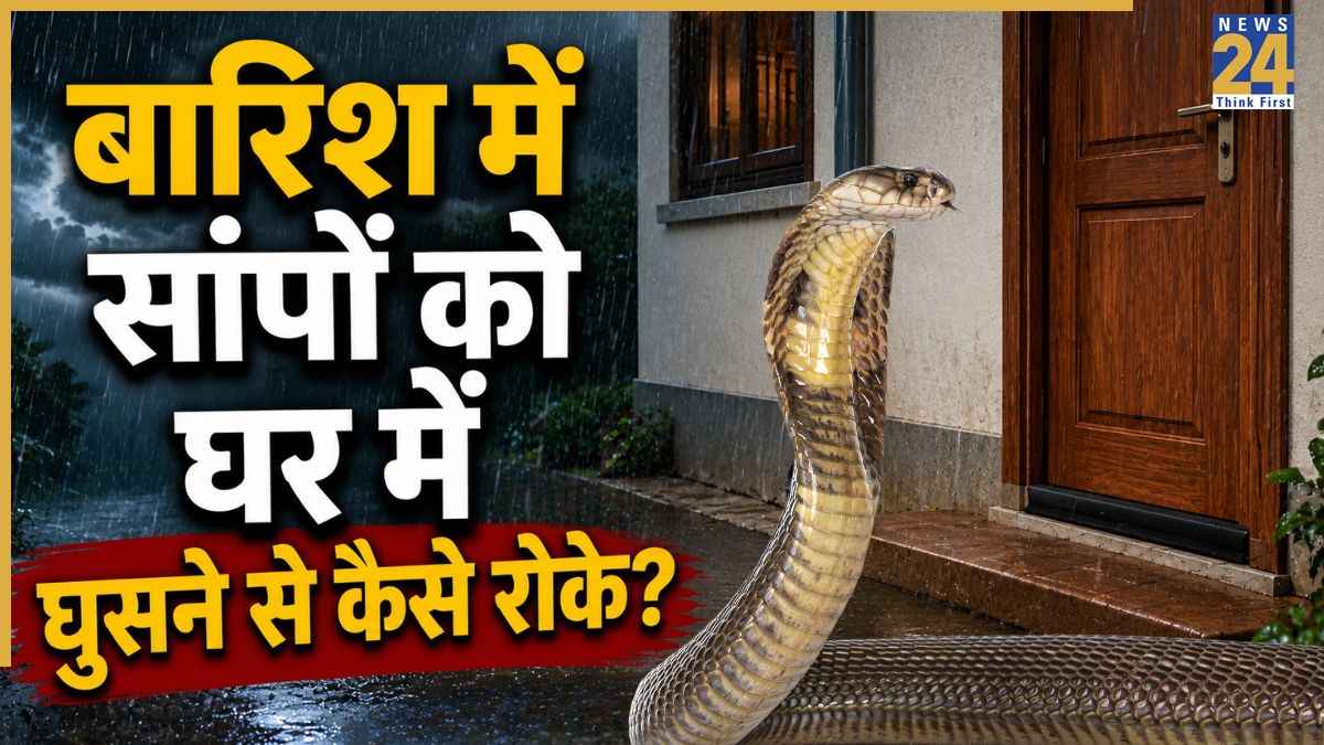 Snakes