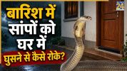 Snakes