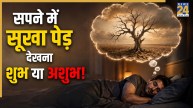 Dry Tree Dream Meaning: सपने में सूखा पेड़ देखना है किस बात का संकेत, जानें स्वप्न शास्त्र का रहस्य