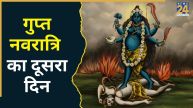 Gupt Navratri 2026 Second Day: आज गुप्त नवरात्रि के दूसरे दिन करें मां तारा देवी की पूजा, जानिए पूजा विधि, शुभ मुहूर्त और मंत्र
