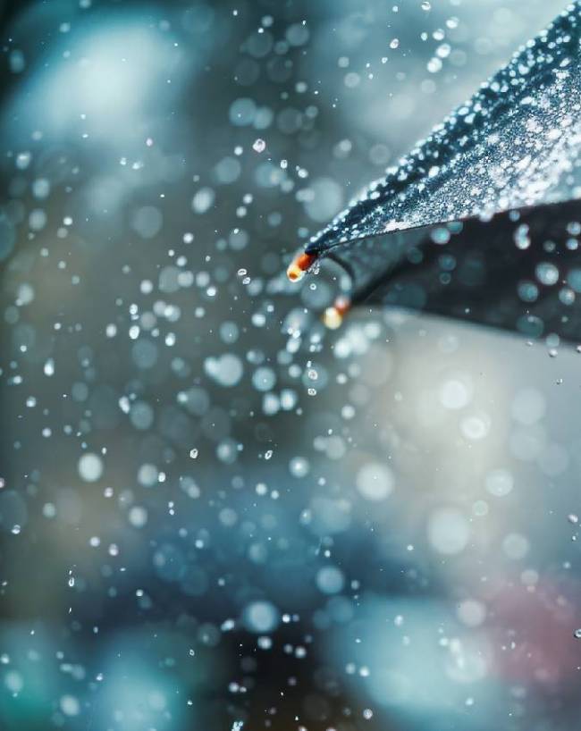 UP Weather Tomorrow 15 July UP Weather Tomorrow 15 July-1-2-3-4-5