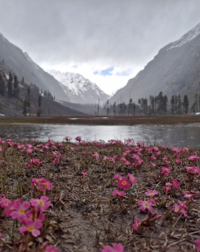 best monsoon places-1-2-3