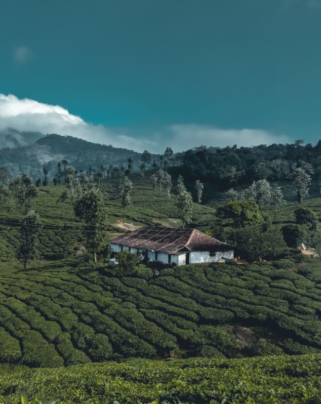 wayanad-1-2-3-4-5-6-7