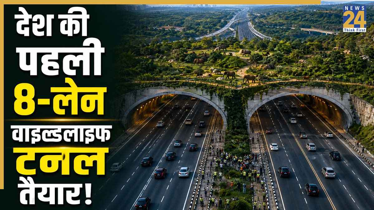 First Wildlife Tunnel: भारत का पहला अनोखा हाईवे प्रोजेक्ट! दिल्ली-मुंबई एक्सप्रेसवे पर बनी 8-लेन की वाइल्डलाइफ टनल, जानें कब होगी शुरू