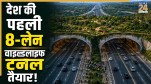 The country's first 8-lane wildlife tunnel