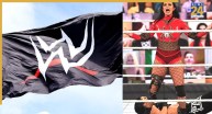 WWE SummerSlam 2026 से पहले दिग्गज ने किया संन्यास का ऐलान, इस वजह से लिया दिल तोड़ देने वाला फैसला