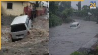 VIDEO: मुंबई से सटे वसई में भारी बारिश ने मचाई तबाही, नाले में बह गई दो कारें; ड्राइवर ने कूदकर जान बचाई