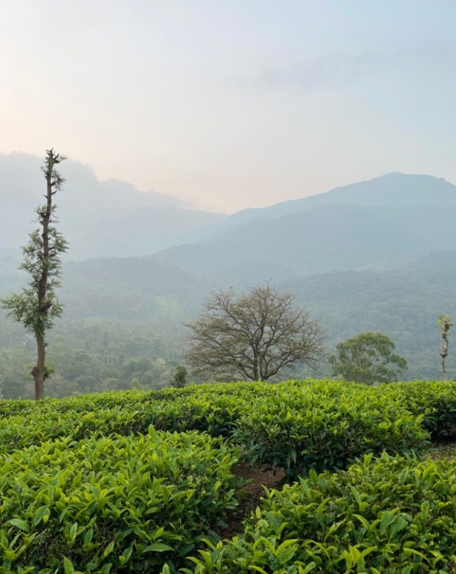 Best Monsoon Destinations In India-1-2