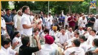 rahul gandhi protest