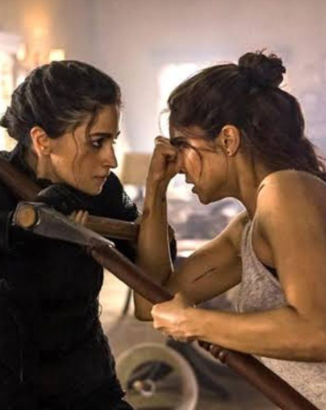 Alpha Box Office Collection Day 5-1-2-3-4-5