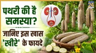Balam Kheera Benefits For Kidney Stone