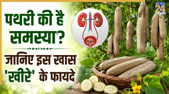 Balam Kheera Benefits For Kidney Stone