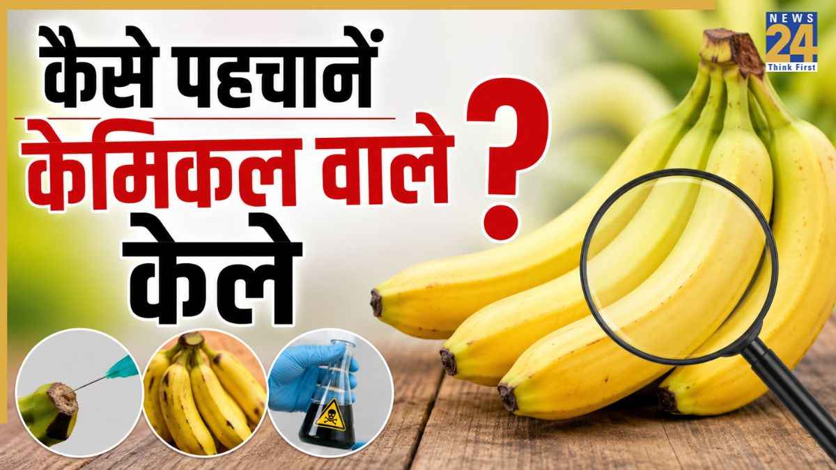 Real Vs Fake Banana Real Vs Fake Banana