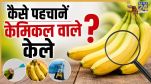 Real Vs Fake Banana