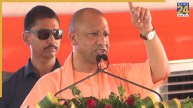 10 साल पहले आतंक व भय का प्रतीक था शामली, अब यहां गन्ने की मिठास और एक्सप्रेसवे की ‘त्रिवेणी’ हैः मुख्यमंत्री योगी