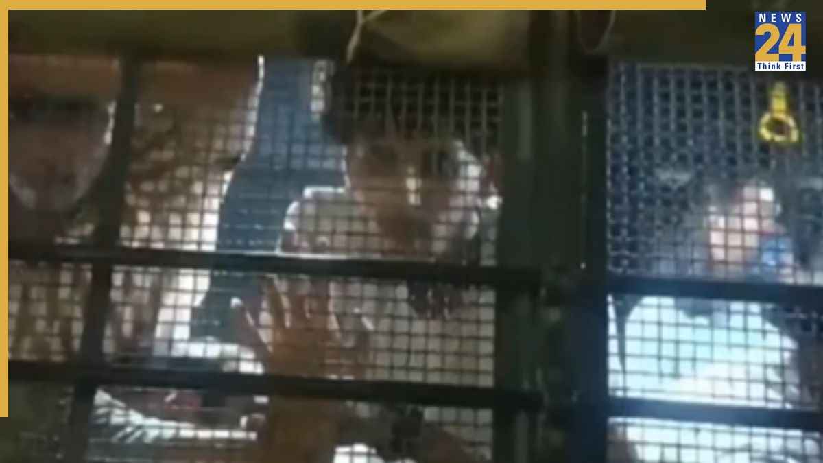 'क्या आपने खाना खाया…', जब पटना में पुलिस वैन से प्रदर्शनकारी ने रोती हुई मां से पूछा भावुक सवाल