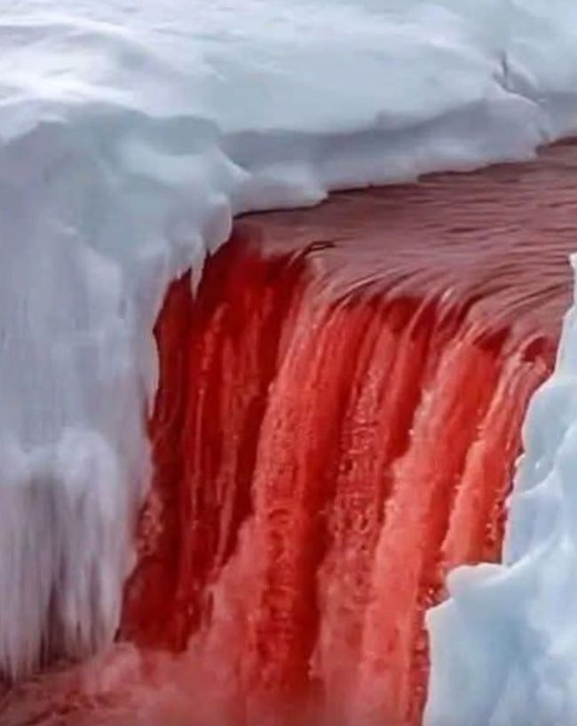 Antarctica Blood Falls-1-2-3