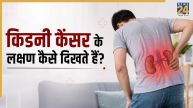 दर्द नहीं बल्कि ये 7 दिक्कतें देती हैं किडनी कैंसर का संकेत, जानिए कब डॉक्टर से मिलने में नहीं करनी चाहिए देरी