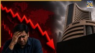 share market fall