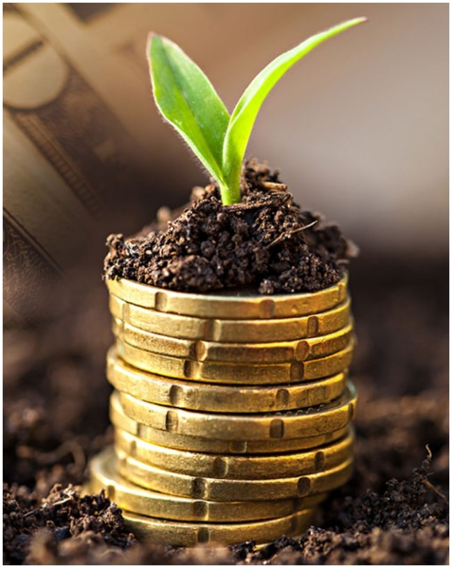 sip investment tips-1-2-3-4-5-6-7-8-9
