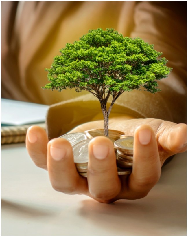 sip investment tips-1-2-3-4-5-6