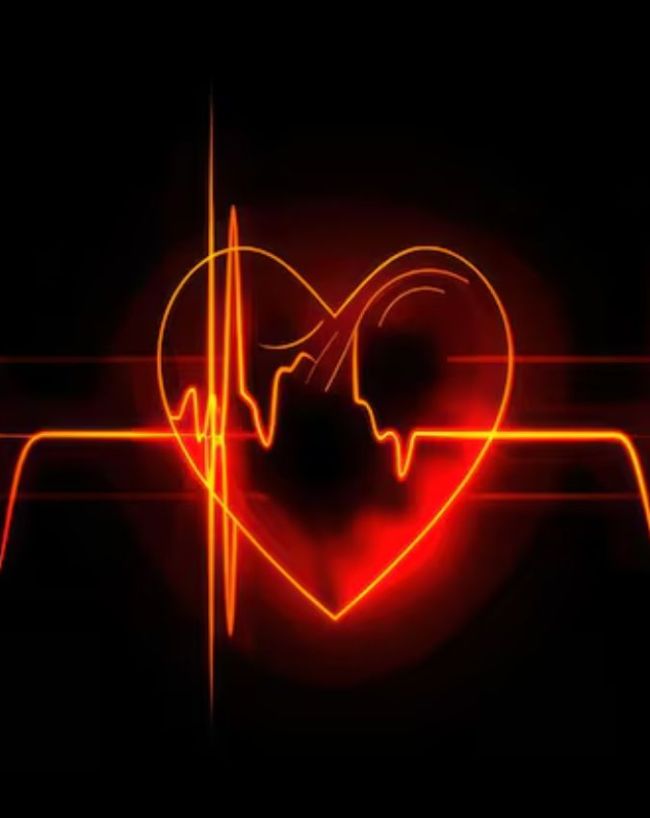 Which Organ Dies First After Death-1-2-3-4