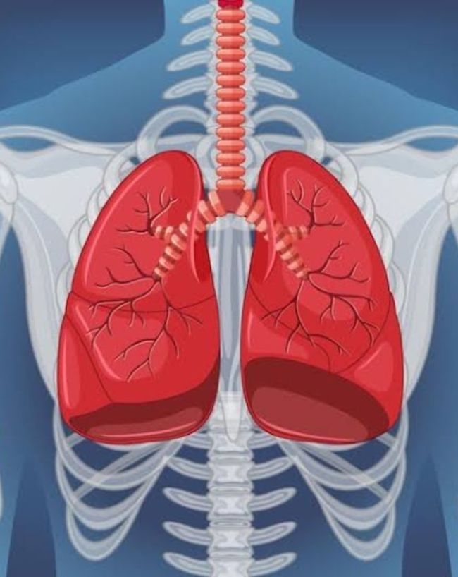 Which Organ Dies First After Death-1-2-3-4-5