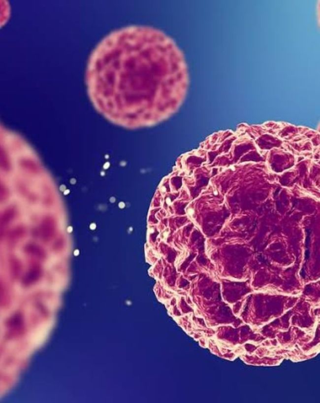 Cancer Lump Disease-1-2