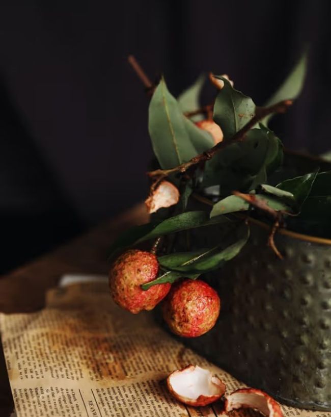 Litchi worms harmful-1-2-3