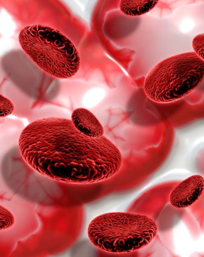 Signs of thick blood-1-2-3-4-5-6-7-8