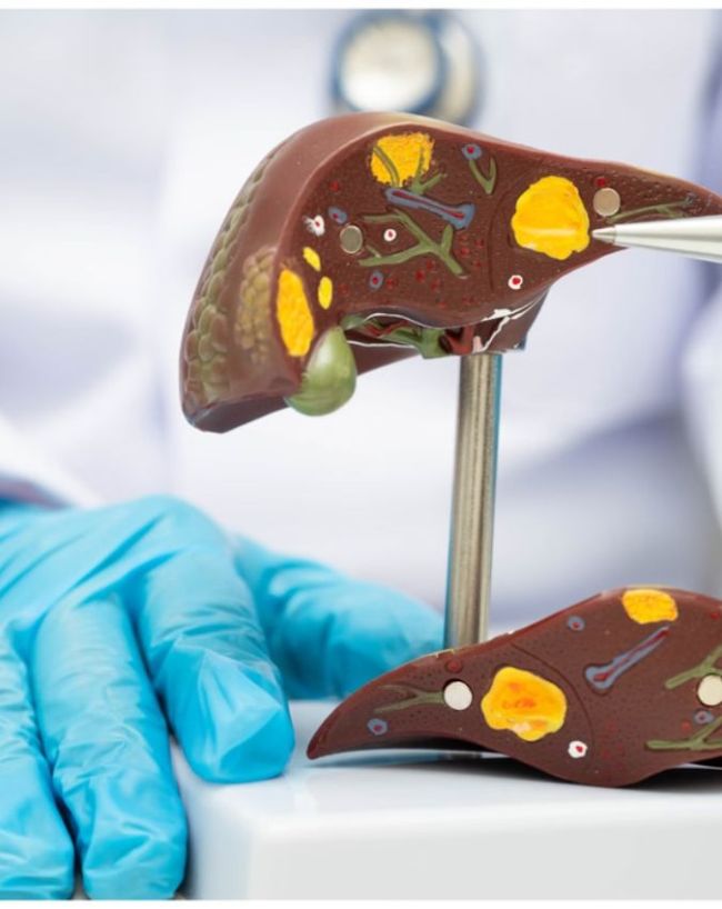Liver Belly-1-2-3-4-5-6-7