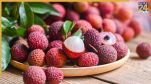 Litchi worms harmful