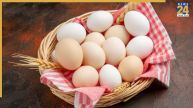 Fake Vs Real Egg
