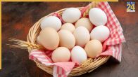 Fake Vs Real Egg