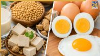 Soya or Eggs Protein