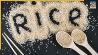 Uses Of Rice