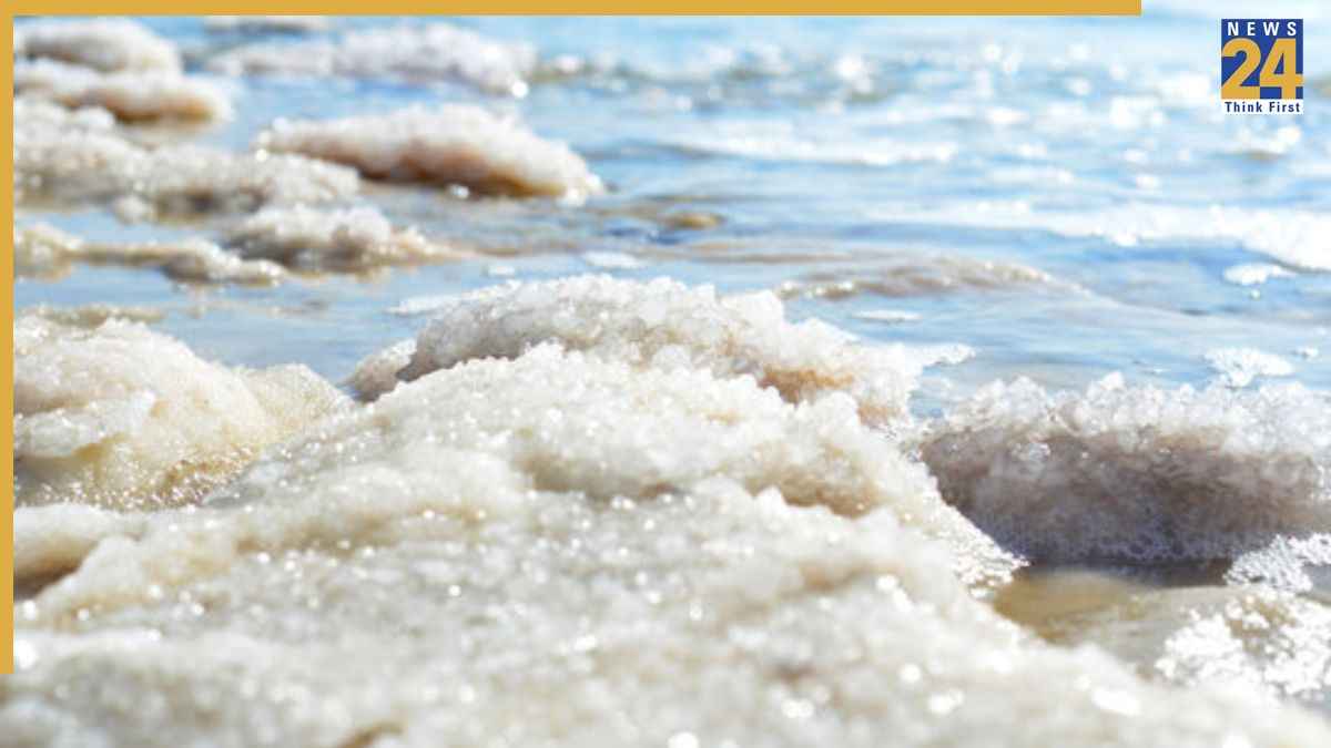 Sea Water Salty