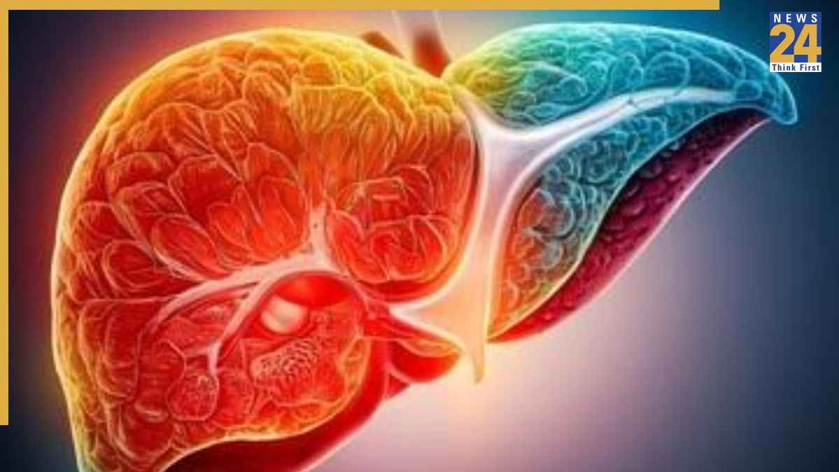 Fatty Liver को हेल्दी रखेंगे ये फूड्स, AIIMS ट्रेंड डॉक्टर ने बताया डाइट में क्या करें शामिल