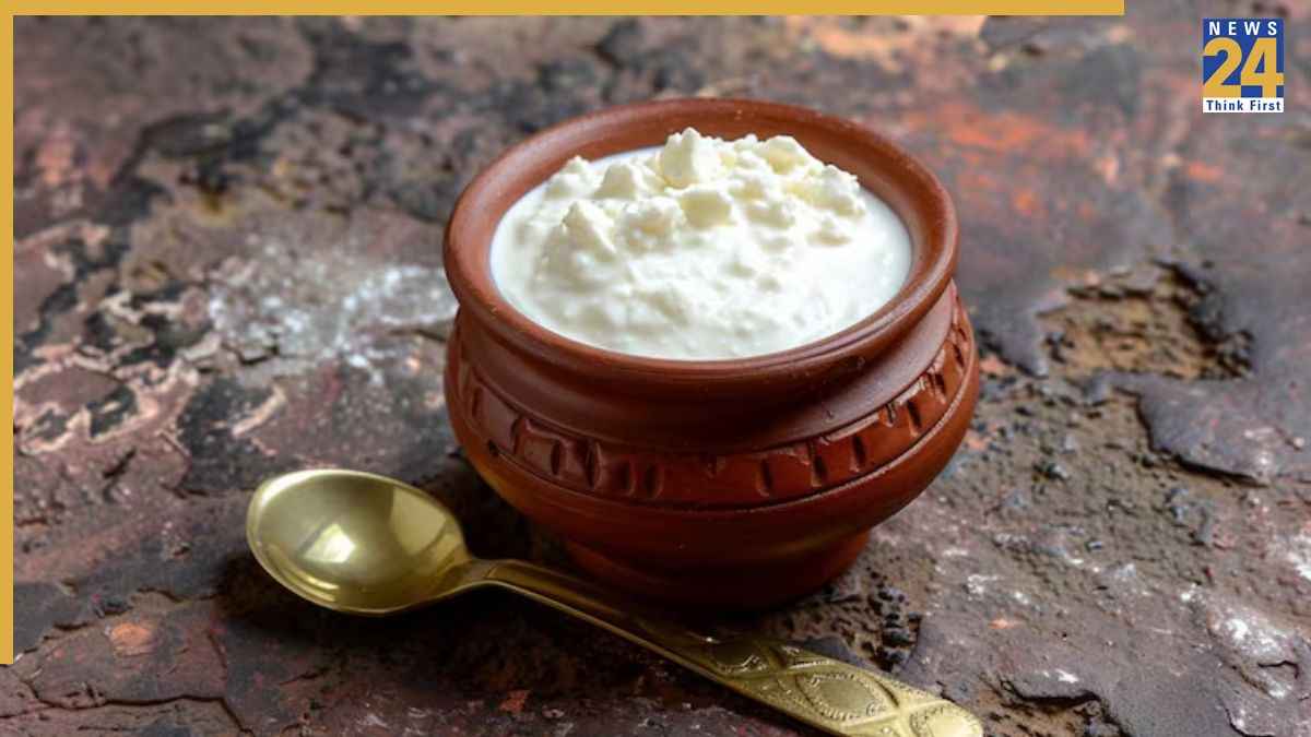 रोज दही खाने से क्या होता है? यूरोलॉजिस्ट डॉक्टर ने बताए शरीर को मिलने वाले अद्भुत फायदे