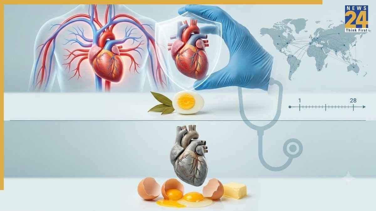 अंडा दिल के लिए अच्छा है या नहीं? हैदराबाद के डॉक्टर ने 185 देशों के 28 साल के डेटा से बताया सच