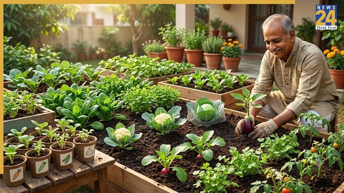 Gardening Tips: सितंबर में आसानी से उगाई जा सकती हैं ये सब्जियां, सर्दियों में घर पर मिलेगी फ्रेश फसल