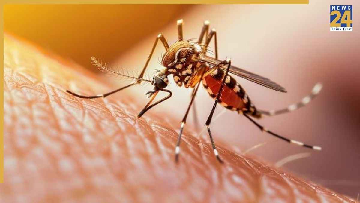 बच्चों को मच्छर से बचाना है तो घर में करें ये 5 काम, काटने का खतरा होगा कम