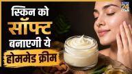 Anti Aging Cream
