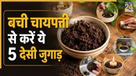 Bachi chaipatti uses