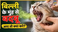 Preventing Bad Breath