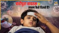 Chandipura virus symptoms